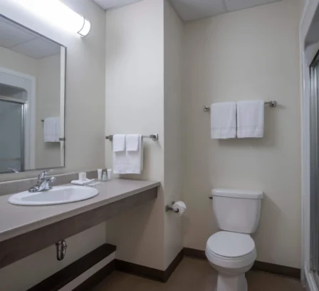 Spacious hotel bathroom with modern amenities and fresh towels