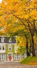 Charming autumn scene at Crossroads Inn with vibrant yellow foliage and historic architecture.