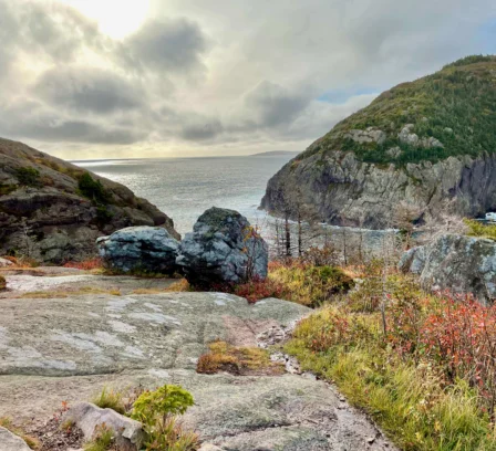 Scenic coastal view with rocky terrain and vibrant foliage near Crossroads Inn & Suites.
